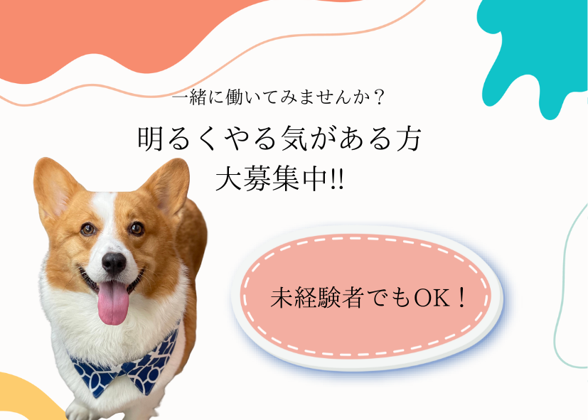 カテゴリーホテル